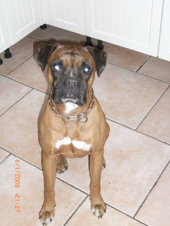 logo linkedin 24x24px