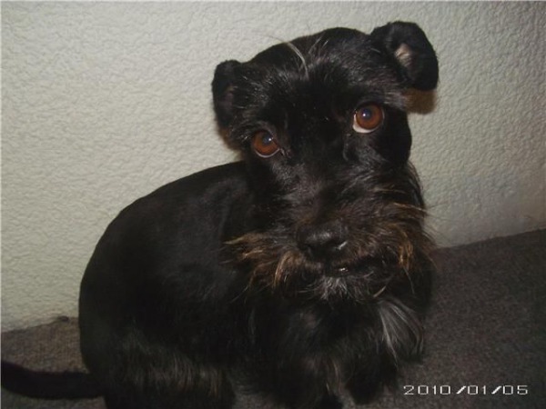 logo facebook 24x24px